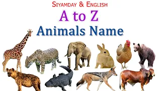 ANIMALS NAME - ABC Alphabet | Animal Sound | Animals name for kids |