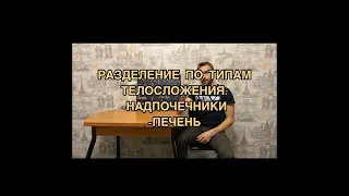 Типы телосложения. Как похудеть исходя из своего типа?