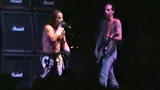 Red Hot Chili Peppers 1992-08-12 Lollapalooza Festival, Stanhope, NJ [AMT #1]