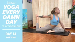 DAY 14 - FEEL GOOD - Full Body Stretch | Yoga Every Damn Day 30 Day Challenge with Nico