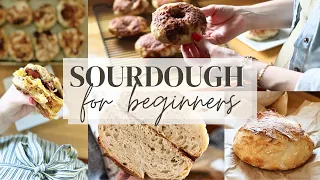 Sourdough For A Year | What I've learned + favorite recipes for beginners
