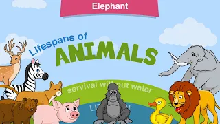 Life span of animals - Longest lifespan animals -Lifespan of animals and survive without water