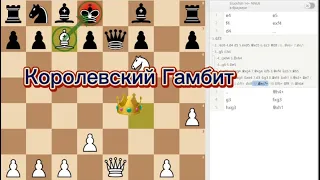 Королевский Гамбит 👑 || Дебют за белых || Шахматы