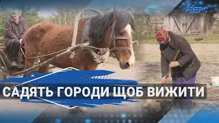 Удобряють городи і мріють про мир: як і чим живе волинське прикордоння