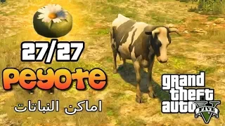 قراند جميع مواقع النباتات | 27  GTA V All peyote plant Location