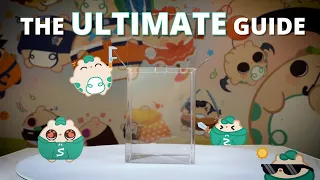 The ULTIMATE Guide to Shumi POP Protectors!