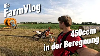 Wann kommt endlich Regen? Immer wieder in die Sojabohne / Vlog 24