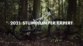 2021 Specialized Stumpjumper Expert // Bike Review