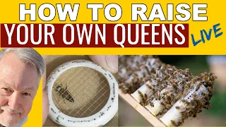 Beekeeping Can Be More Fun Raising Queens