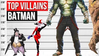 Greatest Batman Villains Of All Time and Size Comparison