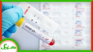 Why Don't We Have Better and Faster COVID-19 Tests? | SciShow News