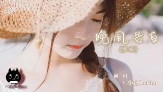 小包Zerinn - 晚風告白 (男版)（原唱：星野）『我遇見很多人卻只想和你慢慢周旋。』【動態歌詞 | Pinyin Lyrics】【三月新歌】【PENGUIN MUSIC】