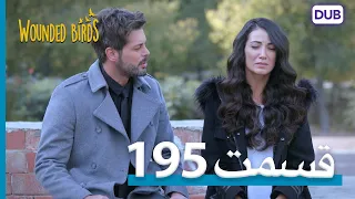 پرندگان زخمی | با دوبلۀ فارسی | قسمت 195 | Wounded Birds Episode 195