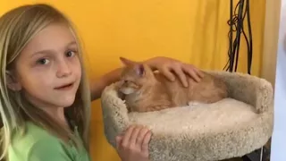 Girl Sobs as She Meets Her New Kitten