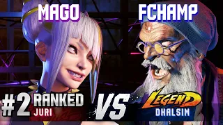 SF6 ▰ MAGO (#2 Ranked Juri) vs FCHAMP (Dhalsim) ▰ High Level Gameplay