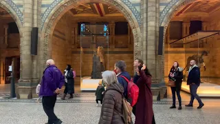 The Natural History Museum(what is inside)UK London #naturalhistorymuseum