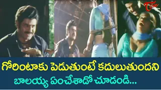 Nandamuri Balakrishna Best Comedy Scenes | Telugu movie Comedy Videos | TeluguOne