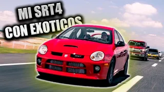 PROBANDO MI SRT4 CON EXOTICOS || JUANITO MARTINEZ