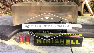 Aguila 12 ga Mini Shells