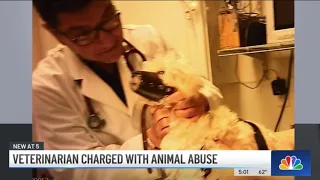 NY Veterinarian Charged With Animal Abuse RUNS From Reporters | NBC New York