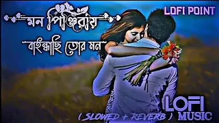 মন পিঞ্জিরায় বাইন্ধাছি তোর মন 💖🥀 | Mon pinjirai baindachi tor mon LOFI (SLOWED + REVERB) MUSIC