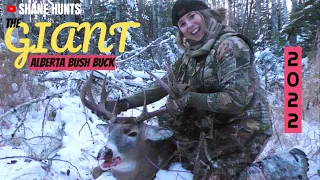 Giant Canadian Bush Buck Hunt: Reaction, Recovery, and Reveal!