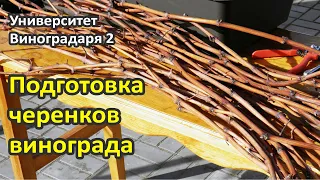 5. Предпосадочная подготовка черенков винограда