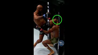 Demetrious Johnson is a savage⌚🐌 #slowmotion #mma #shorts