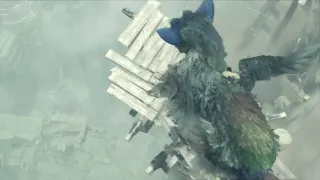 The last guardian were no one goes