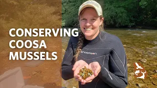 Conserving the Fascinating Freshwater Mussels of the Coosa River Basin