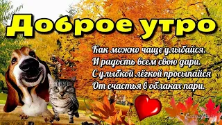 💗🌞💗Доброго утра благословенного дня!💗🌞Отличнных выходных!💗Красивое музыкальное пожелание🎵