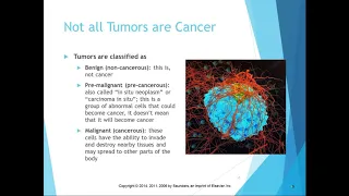 Chapter 20 Part 1 Introduction to Cancer
