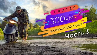 300км на скутере по таёжным лесам - Часть 3