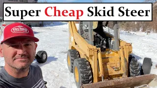 I Bought A Skid Steer SUPER CHEAP!!!  (Hydraulic Problems That I Can Fix...)