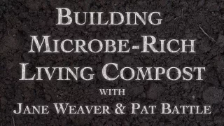 Building Microbe-Rich Living Compost Part 1