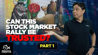 Can this Stock Market Rally Be Trusted? Part 1 of 2