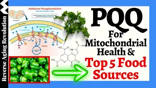 PQQ Stimulates Mitochondria & TOP 5 FOOD SOURCES!!!