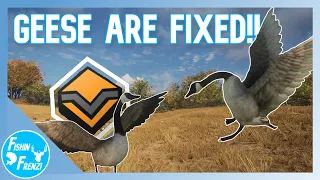 Geese Are Finally Fixed!! And My First Diamond Goose!! | theHunter - Call of the Wild