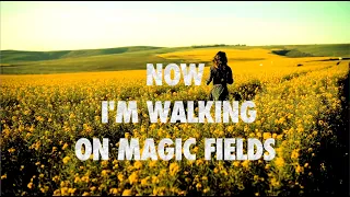 NaXwell, DJ Combo & X-Perience - Magic Fields (Official Lyric Video HD)