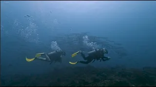 One of the BEST DIVE SITES in the world! Sipadan Island , Malaysia