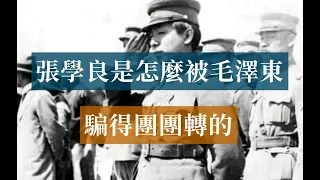 張學良是怎麼被毛澤東騙得團團轉的|西安事變|雙十二事變|蔣介石|毛澤東|Chiang Kai-shek|