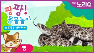 팡팡! 동물놀이💛ㅣ뱀 편🐍ㅣ자연탐구ㅣ어린이 프로그램ㅣPangpang! Play with AnimalㅣSnakeㅣ Kids Programㅣ대교 노리Q