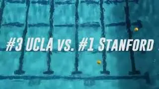 HIT: Men's Water Polo vs. Stanford
