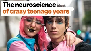 The teenage brain: Why some years are (a lot) crazier than others | Robert Sapolsky | Big Think