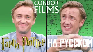 Том Фелтон против «Самого непроходимого квиза по Гарри Поттеру» | Condor Films