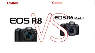 Минусы Canon R8 в отличии от Canon R6 mark II.