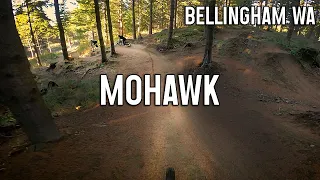 Mohawk - Galbraith - Bellingham Mountain Biking