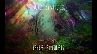 Forest Synthesis Dark Forest DJ Set - Psyber Psynthesis