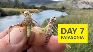 Hoppers ONLY on the Last Day! // Day 7 Patagonia Day-by-Day Series