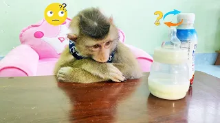 Monkey LyLy cried because she couldn't drink milk and ran to find her mother for help